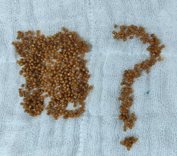 photo-3