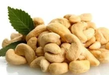 ಗೋಡಂಬಿ(ಗೇರುಬೀಜ)ಯ ಉಪಯೋಗಗಳು