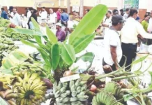 ಎರಡು ದಿನಗಳ ಬಾಳೆ ಮೇಳಕ್ಕೆ ತೆರೆ