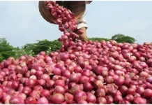 ಈರುಳ್ಳಿ ಬೆಲೆ ಪಾತಾಳಕ್ಕೆ ಕಣ್ಣೀರಿಟ್ಟ ರೈತರು