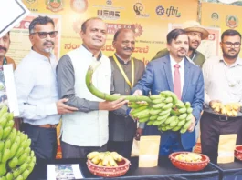 ಸಿಎಫ್ಟಿಆರ್ಐನಲ್ಲಿ ಜಿಐ ಮಹೋತ್ಸವಕ್ಕೆ ಚಾಲನೆ