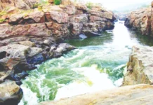 ಮೇಕೆದಾಟು ಯೋಜನೆ ತ್ವರಿತ ಅನುಷ್ಠಾನಕ್ಕೆ ತಂಡ ರಚನೆ