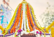 ಭವ್ಯ ರಥೋತ್ಸವದೊಂದಿಗೆ ದತ್ತ ಜಯಂತಿ ಸಂಪನ್ನ