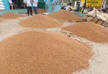 ಹೆಚ್ಚುತ್ತಿರುವ ತೊಗರಿ ಬೆಲೆ