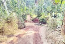 ಸೇತುವೆ ನಿರ್ಮಾಣಕ್ಕೆ ರೂ.೧.೬೫ ಕೋಟಿ ಮಂಜೂರು; ಕಣಿಯಾರಿನ ಕಣ್ಣೀರು ಒರೆಸಿದ ಶಾಸಕರು