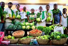 ಬೆಟ್ಟಹಲಸೂರು-ರಾಜಾನುಕುಂಟೆ ರೈಲ್ವೆ ಯೋಜನೆ ಕೈಬಿಡಲು ಒತ್ತಾಯ