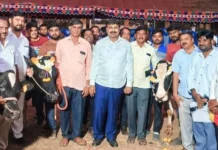 ಹಾಲು ಕರೆಯುವ ಸ್ಪರ್ಧೆ ಮತ್ತು ಮಿಶ್ರತಳಿ ಕರು ಪ್ರದರ್ಶನ