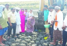 ಕೆರೆ ಹೂಳೆತ್ತುವ ಕಾಮಗಾರಿಗೆ ಚಾಲನೆ