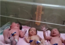 ತ್ರಿವಳಿಗೆ ಮಕ್ಕಳಿಗೆ ಜನ್ಮ ನೀಡಿದ ತಾಯಿ