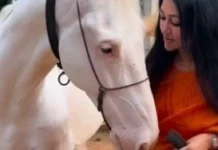 ದರ್ಶನ್ ಫಾರ್ಮ್ಹೌಸ್ನಲ್ಲಿ ಮಕರ ಸಂಕ್ರಾಂತಿ ಆಚರಣೆ