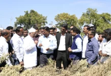 ಕೇಂದ್ರ ತಂಡದಿAದ ಜಿಲ್ಲೆಯ ನೈಸರ್ಗಿಕ ವಿಕೋಪ- ಬೆಳೆಹಾನಿ ಸಮೀಕ್ಷೆ