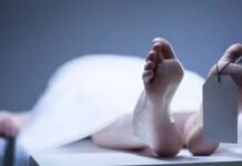 ಆನ್ಲೈನ್ ಗೇಮ್:ನಾಲ್ಕು ಬಲಿ