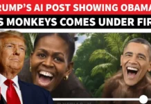 ಒಬಾಮಾ ದಂಪತಿ ಮಂಗಗಳಂತೆ ಚಿತ್ರಿಸಿ ವಿಕೃತಿ