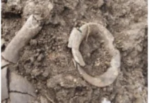 ಸಾವಿರಾರು ವರ್ಷಗಳ ಹಿಂದಿನ ಮಾನವ ಪಳೆಯುಳಿಕೆ ಪತ್ತೆ