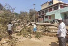 ಗಾಳಿ ಇಲ್ಲ ಮಳೆ ಇಲ್ಲ ಮರ ಬಿತ್ತು