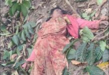 ಕಾಡಾನೆ ದಾಳಿಗೆ ಕೂಡ್ಲಿಗಿ ತಾಲೂಕಿನ ಮಹಿಳೆ ಬಲಿ, ಚಿಕ್ಕಮಗಳೂರು ಜಿಲ್ಲೆ ಕಾಫಿ ಎಸ್ಟೇಟ್ ನಲ್ಲಿ ಘಟನೆ,