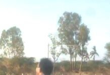 ಮತ್ತೆ ಕಾಣಿಸಿಕೊಂಡ ಚಿರತೆ :ಜನರಲ್ಲಿ ಆತಂಕ