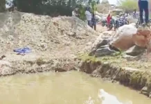 ನಾಲ್ವರು ಮಕ್ಕಳು ಜಲಸಮಾಧಿ