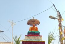 ಶಂಕರನಾರಾಯಣಸ್ವಾಮಿ ಬ್ರಹ್ಮರಥೋತ್ಸವ