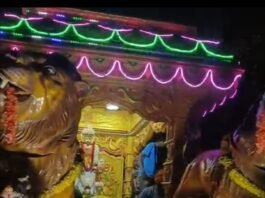 ವಿವಿಧ ದೇವರುಗಳ ಪಲ್ಲಕ್ಕಿ ಉತ್ಸವಗಳು