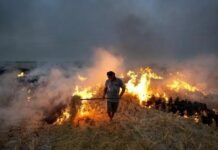 ವಿಶ್ವದ ಅತ್ಯಂತ ಕಲುಷಿತ ನಗರ ಗಾಜಿಯಾಬಾದ್ನ ’ಲೋನಿ’