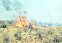 ಬೇಸಿಗೆಯಲ್ಲಿ ಅರಣ್ಯ ಅಗ್ನಿ ತಡೆಗೆ ಕಟ್ಟುನಿಟ್ಟಿನ ಕ್ರಮ ಅಗತ್ಯ – ಕಾಡಿನಲ್ಲಿ ಮದ್ಯಪಾನ ಮಾಡುವವರ ಮೇಲೆ ಕಠಿಣ ಕ್ರಮಕ್ಕೆ ಆಗ್ರಹ