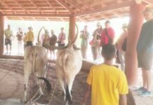 ಪಿಲಿಕುಳ :ಗುತ್ತು ಮನೆ, ಕುಶಲಕರ್ಮಿ ಗ್ರಾಮಕ್ಕೆ ವಿದೇಶಿ ಪ್ರವಾಸಿಗರ ಭೇಟಿ