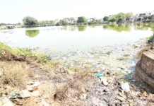 ಪಟವರ್ಧನರ ವೈಭವದ ಚಿಹ್ನೆ ಲಕ್ಕನ ಕೆರೆ ಇಂದು ದುಸ್ಥಿತಿ ! ಕಸದ ಗೂಡಾದ ಲಕ್ಕನ ಕೆರೆ