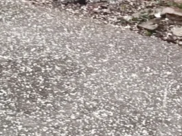 ಮುದ್ದೇಬಿಹಾಳದಲ್ಲಿ ಅಕಾಲಿಕ ಆಲಿಕಲ್ಲು ಮಳೆ: ತೋಟಗಾರಿಕೆ ಬೆಳೆಗಳಿಗೆ ಅಪಾರ ನಷ್ಟ