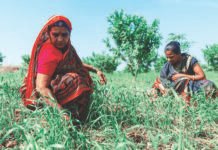 ರಾಜ್ಯದ ಸಮಗ್ರ ಅಭಿವೃದ್ಧಿ ಬಜೆಟ್