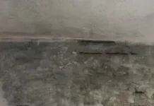 ಯಕ್ಷಿಂತಿ ಶಾಲೆಯಲ್ಲಿ ಬಿಸಿ ಊಟದ ಕೋಣೆಯ ಚಾವಣಿ ಕುಸಿತ : ಅಡುಗೆ ಸಹಾಯಕಿಗೆ ಗಾಯ