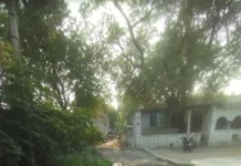 ಹುರಸಗುಂಡಗಿ ಎಸ್ಸಿ ಕಾಲೋನಿಯಲ್ಲಿ ಅಸ್ವಚ್ಛತೆಯ ಆರ್ಭಟ: ಆರೋಗ್ಯ ಆತಂಕದಲ್ಲಿ ಜನ