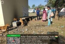 ಬೀದಿ ನಾಯಿಗಳಿಗೆ ಪುಡ್ ಫೀಡಿಂಗ್ ಸೆಂಟರ್ ಆರಂಭ