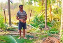 ಕಾಡಾನೆಗಳ ದಾಳಿ: ಅಡಕೆ, ತೆಂಗಿನ ಮರಗಳಿಗೆ ಹಾನಿ