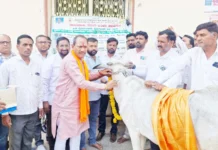 ಕಾಲು ಬಾಯಿ ರೋಗ ತಡೆಗೆ ಲಸಿಕೆ ಹಾಕಿಸಿ: ಶಾಸಕ ಪ್ರಭು ಚವ್ಹಾಣ