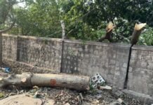 ಅಕ್ರಮ ಮರ ಕಟಾವು ಶಾಸಕ ಭರತ್ ರೆಡ್ಡಿ ಆಪ್ತರ ಮೇಲೆ ಕೇಸು ದಾಖಲು.