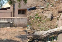 ರಸ್ತೆ ಅಗಲೀಕರಣ ಮರಕಡಿಯುವುದನ್ನು ತಡೆದ ಅರಣ್ಯ ಸಿಬ್ಬಂದಿ ಮೇಲೆ ಹಲ್ಲೆ