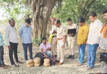 ನಿಷೇಧಿತ ಗಾಂಜಾ ಸಾಗಿಸುತ್ತಿದ್ದ ಆರೋಪಿ ಬಂಧನ6.13 ಲಕ್ಷ ರೂ.ಮೌಲ್ಯದ 6 ಕೆ.ಜಿ.,450 ಗ್ರಾಂ.ಗಾಂಜಾ ಜಪ್ತಿ