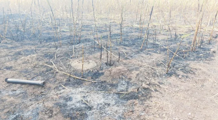 ವಿದ್ಯುತ್ ಶಾರ್ಟ್ ಸಕ್ರ್ಯೂಟಿನಿಂದ ಕಬ್ಬು, ಸೀತಾಫಲ ಬೆಳೆ ನಾಶ