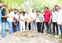 ಉದ್ಯಾನವನ ಅಭಿವೃದ್ಧಿ ಕಾಮಗಾರಿಗೆ ಚಾಲನೆ