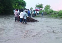 ಭಾರಿ ಗಾಳಿ, ಮಳೆ: ನೆರ್ಕುರುಳಿದ ಮರಗಳು