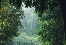 ಒಂದು ವಾರ ಗುಡುಗು ಸಹಿತ ಮಳೆ