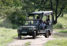 ಕ್ಯಾಂಪರ್ ವಾಹನ ಸಫಾರಿಗೆ ಬ್ರೇಕ್ಗೆ ಚಿಂತನೆ