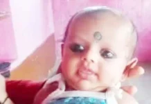 ಬೀದಿ ನಾಯಿ ದಾಳಿ: ಐದು ತಿಂಗಳ ಹಸುಳೆ ಸಾವು- ಈಶ್ವರ ಖಂಡ್ರೆ ಕಂಬನಿ