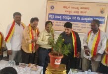 ಕ.ಸಾ.ಪ ಕನ್ನಡಿಗರ ಪ್ರಾತಿನಿಧಿಕ ಸಂಸ್ಥೆ