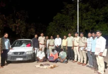 ಅಕ್ರಮವಾಗಿ ಸಾಗಿಸುತ್ತಿದ್ದ ಅಪರೂಪದ ಹಾವು ವಶಕ್ಕೆ