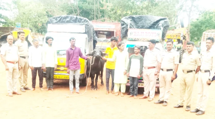ಎಮ್ಮೆ ಕಳ್ಳತನ ಪ್ರಕರಣ ಭೇದಿಸಿದ ಜಮಖಂಡಿ ಗ್ರಾಮೀಣ ಪೊಲೀಸರು6 ಆರೋಪಿಗಳ ಬಂಧನ – ಎರಡು ವಾಹನ ವಶ, ಮೂರು ಎಮ್ಮೆ ಪತ್ತೆ
