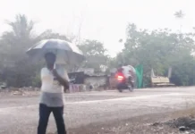 ಕಮಲನಗರ: ಹರ್ಷ ತಂದ ಹದ ಮಳೆ