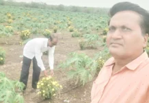 ಸಸ್ಯಗಳಿಗೆ ರೋಗ ತಡೆಗಟ್ಟಲು ಮುಂಜಾಗ್ರತೆ ಅಗತ್ಯ