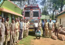 30 ಲಕ್ಷ ಮೌಲ್ಯದ ಬೀಟೆ ದಿಮ್ಮಿ ಸಾಗಾಟ ಪತ್ತೆ: ಕೇರಳದ ಲಾರಿ ಚಾಲಕ ಬಂಧನ